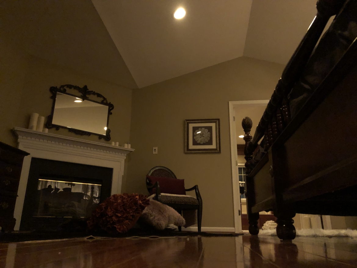 2018-12-08-20.19.34-2.jpg